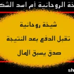 الشيخة الروحانية أم أسد الشكرجي – شيخة روحانية تقبل الدفع بعد النتيجة
